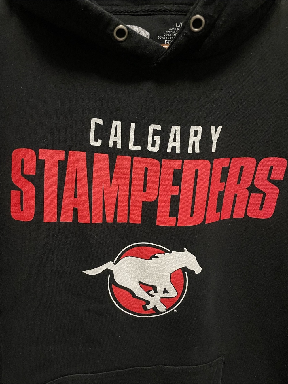 Calgary Stampeders Black Hoodie Men’s Large - Picture 3 of 8